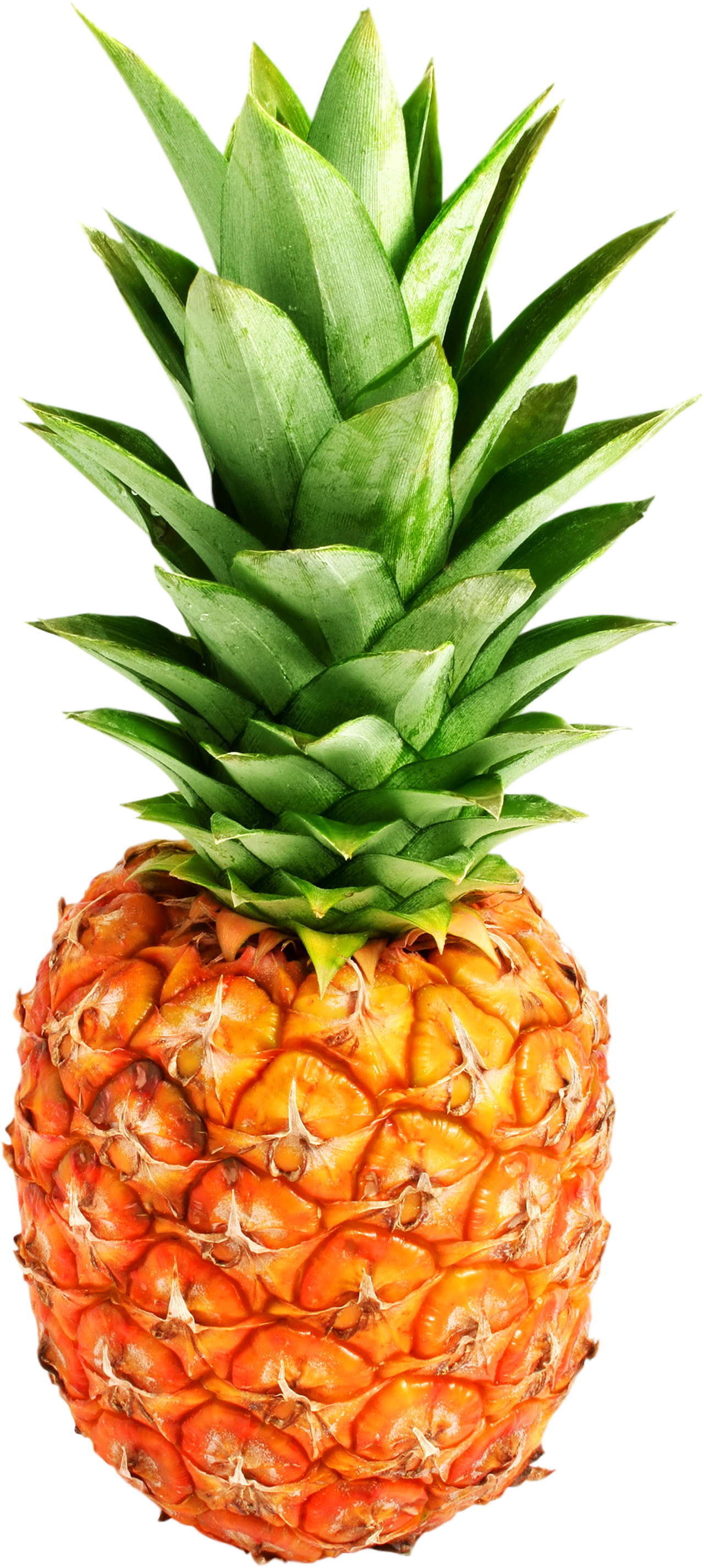 pineapple